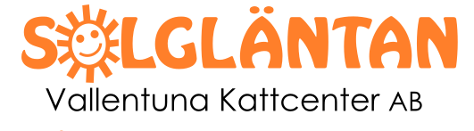 Solgläntans hemlösa katter